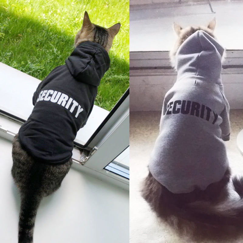 Cats with Sweater Security