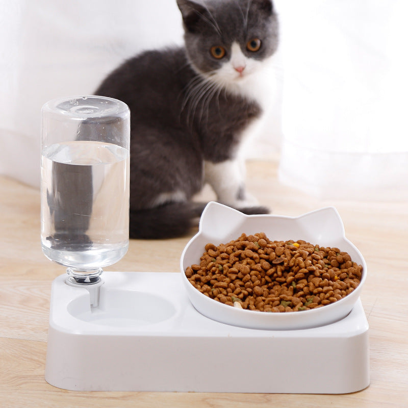 automatic waterbowl arrangement cats