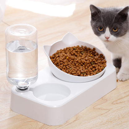 best automatic waterbowl for cats