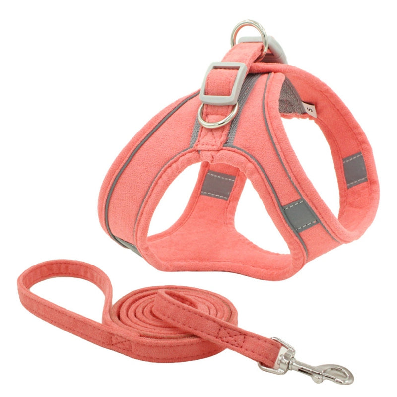 leash and harness set cats