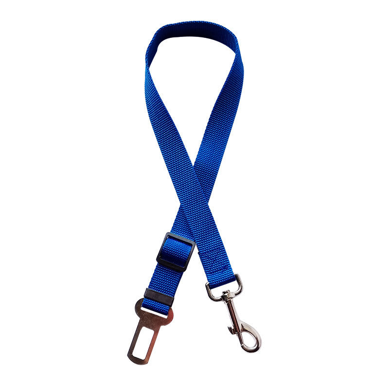 cat safety belt blue