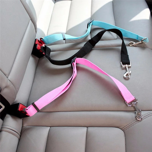 safety belt for cat harness