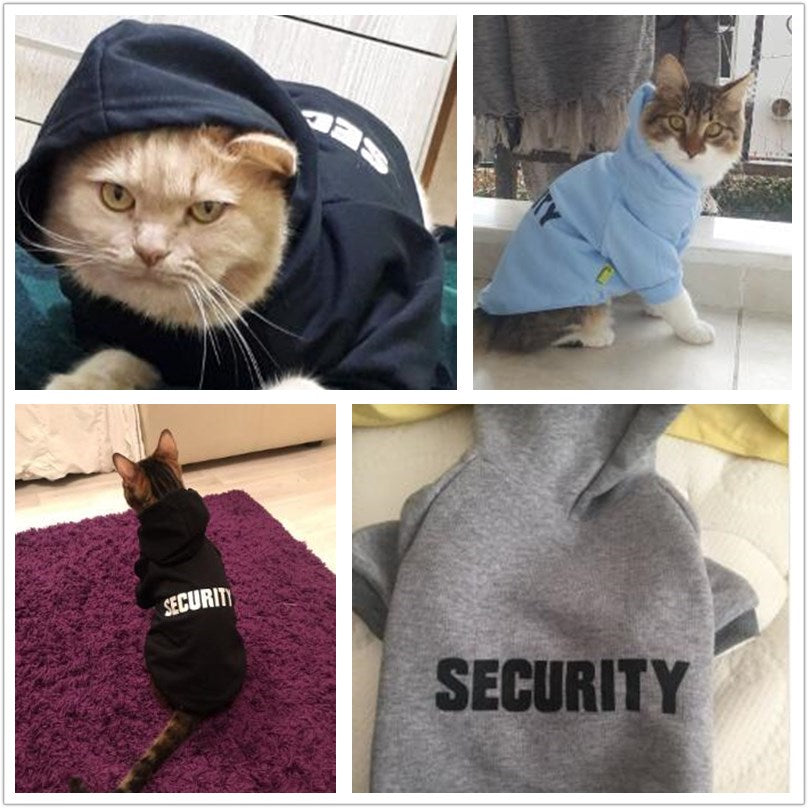 Cats with Hoodie Security