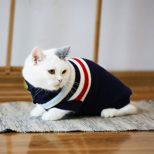 winter sweater for cats