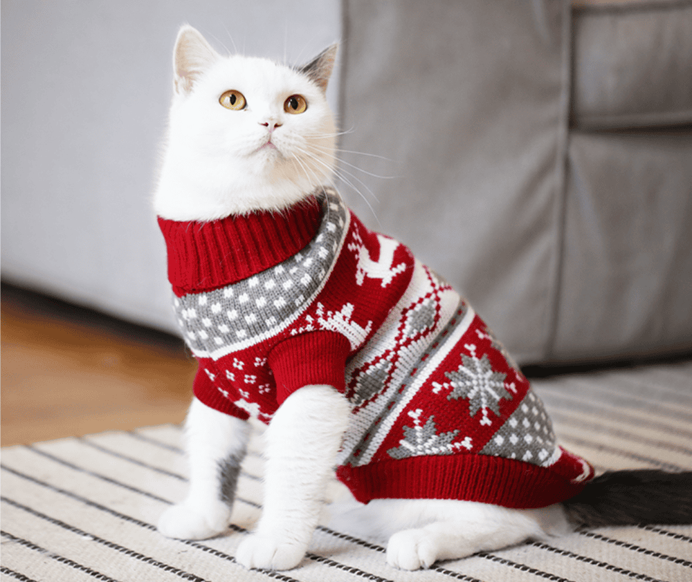christmas sweater cats