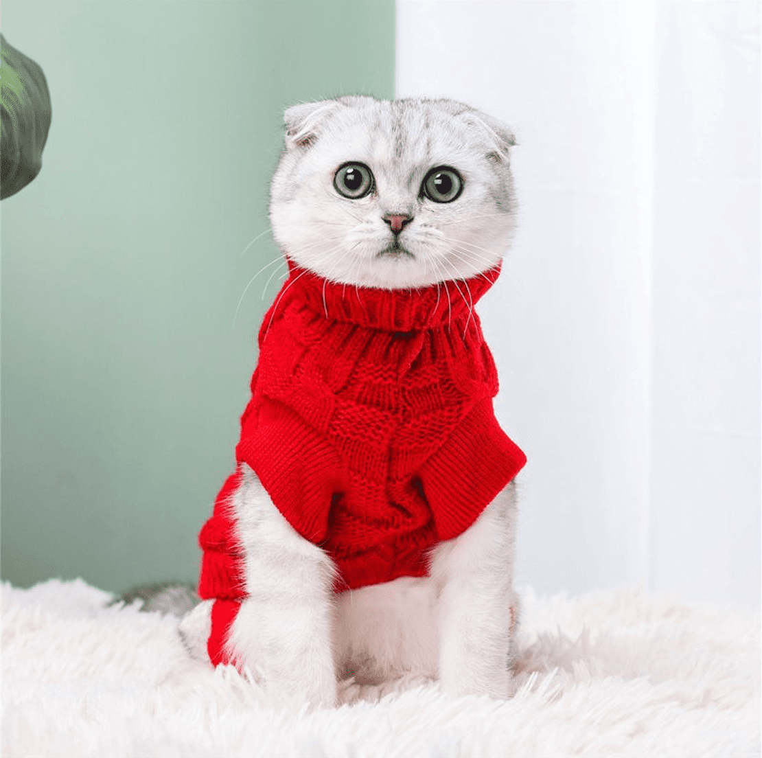 best knitted jumper pullover cats