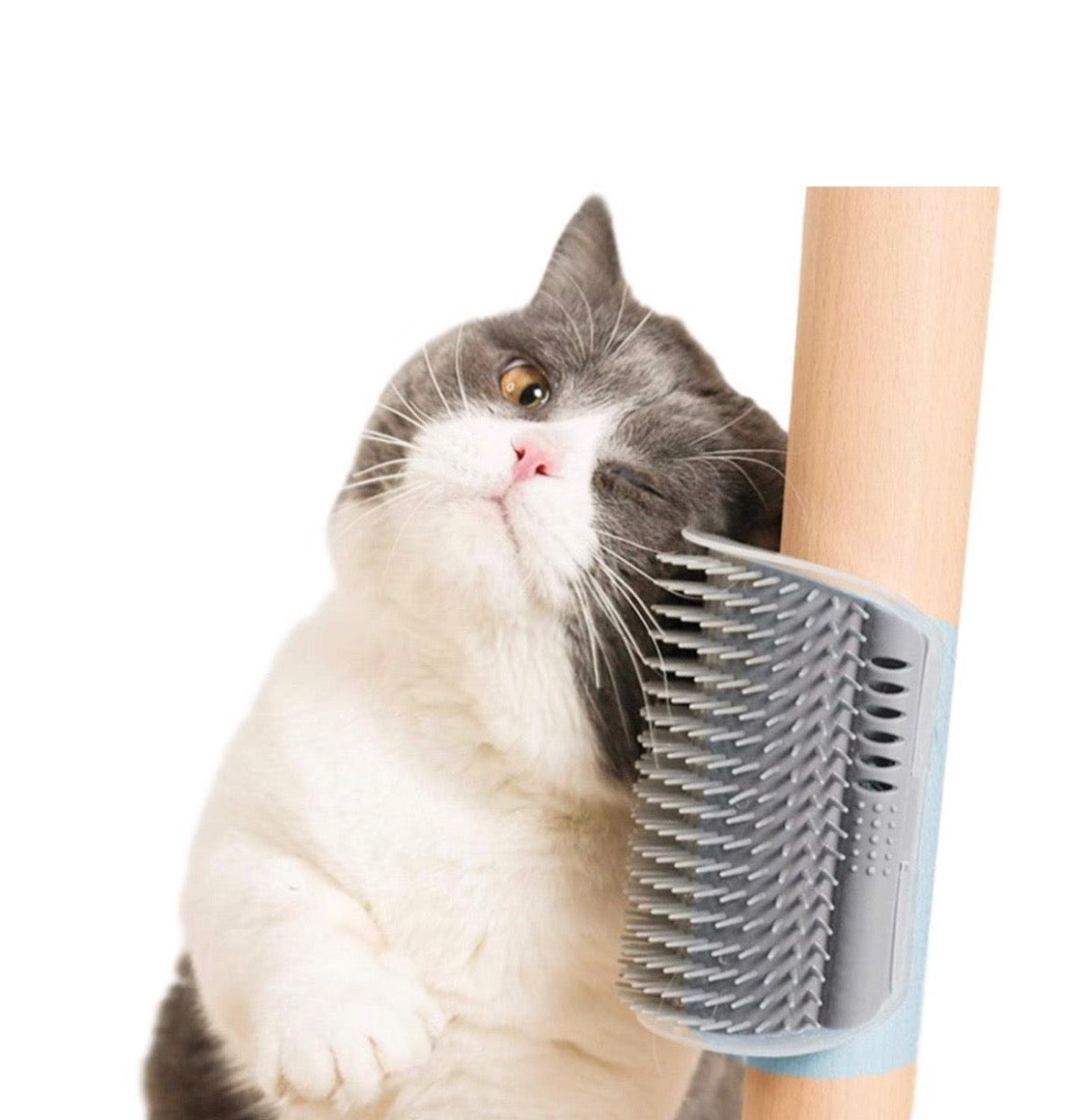 Wall and Corner Groomer Cats