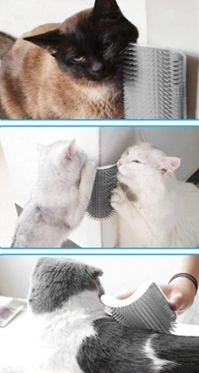 Wall and Corner Groomer for Cats