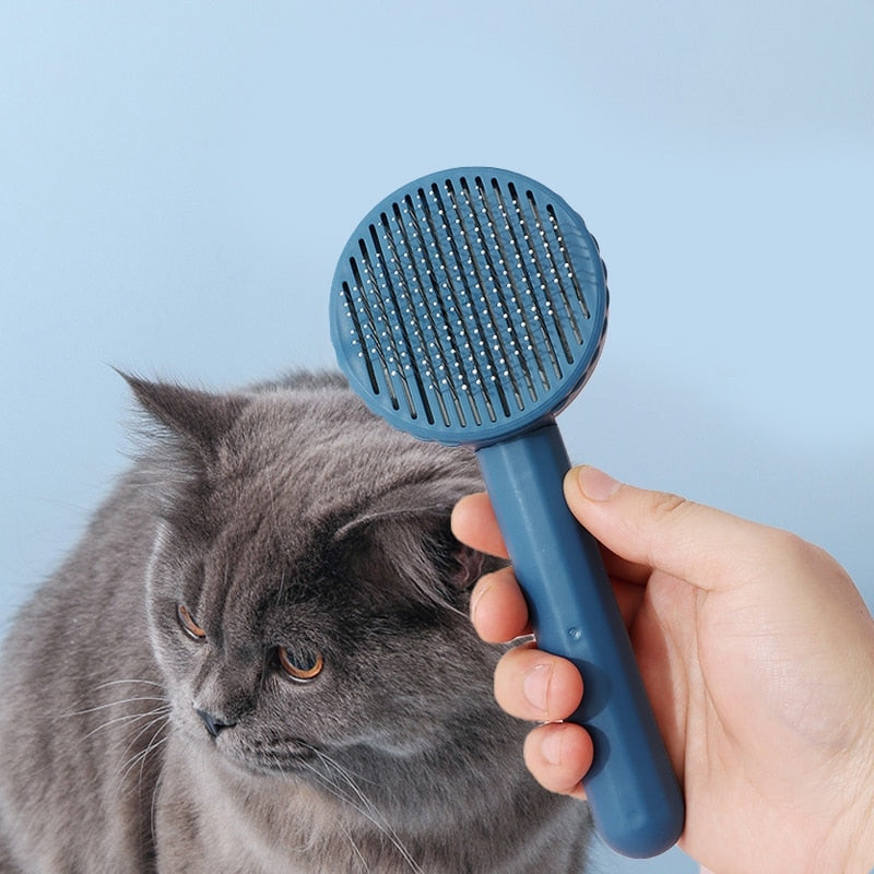 cat brush for shedding