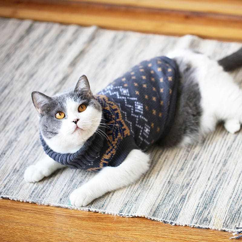 winter pullover for cats